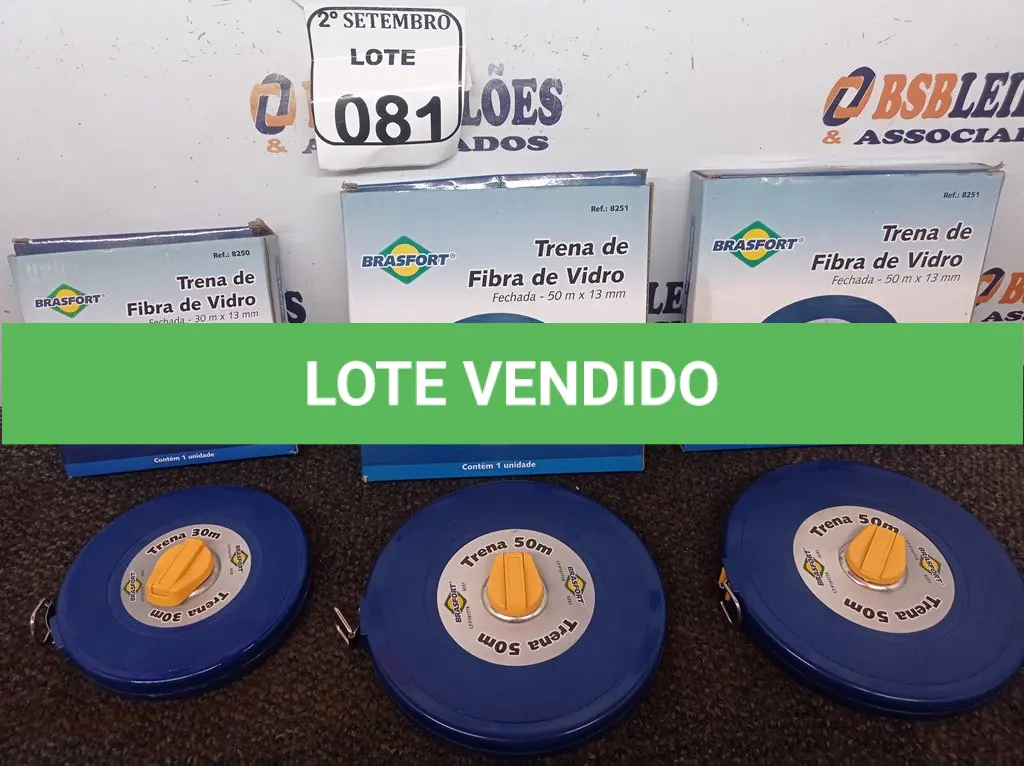 LOTE 081