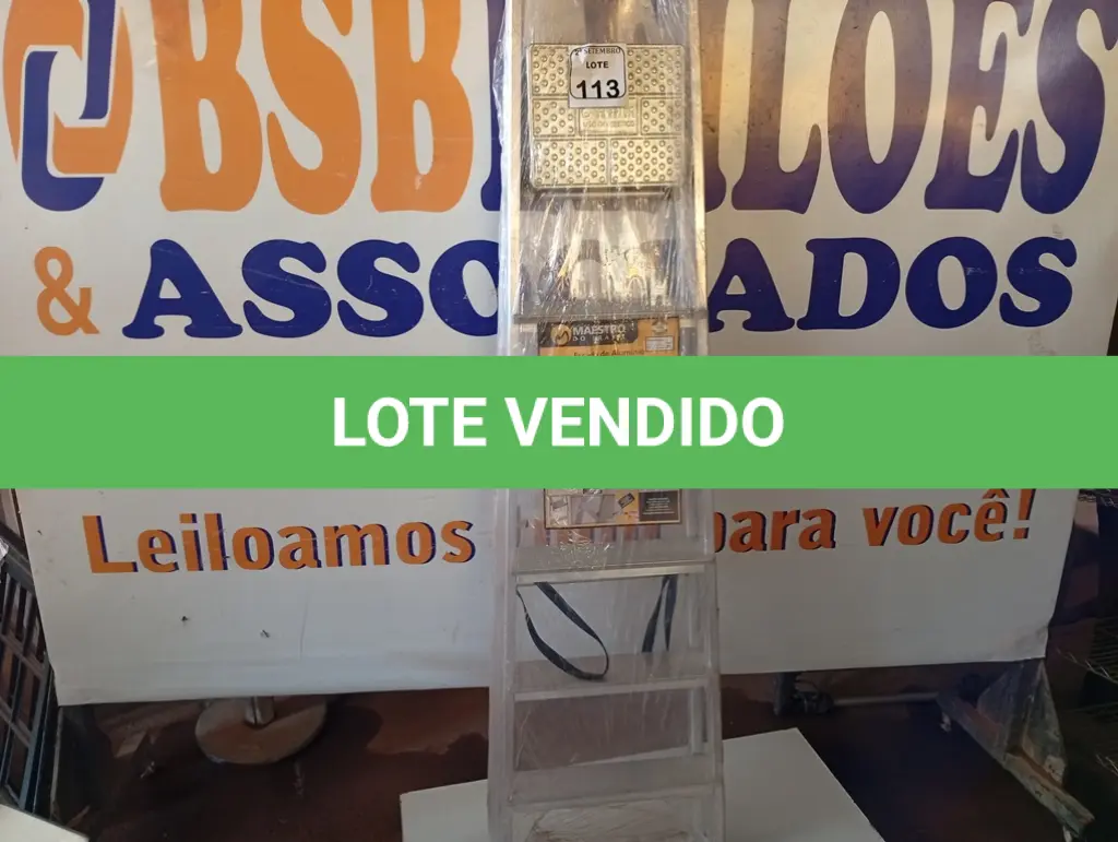 LOTE 113