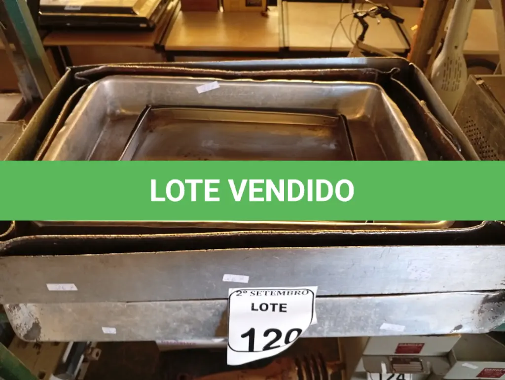 LOTE 120