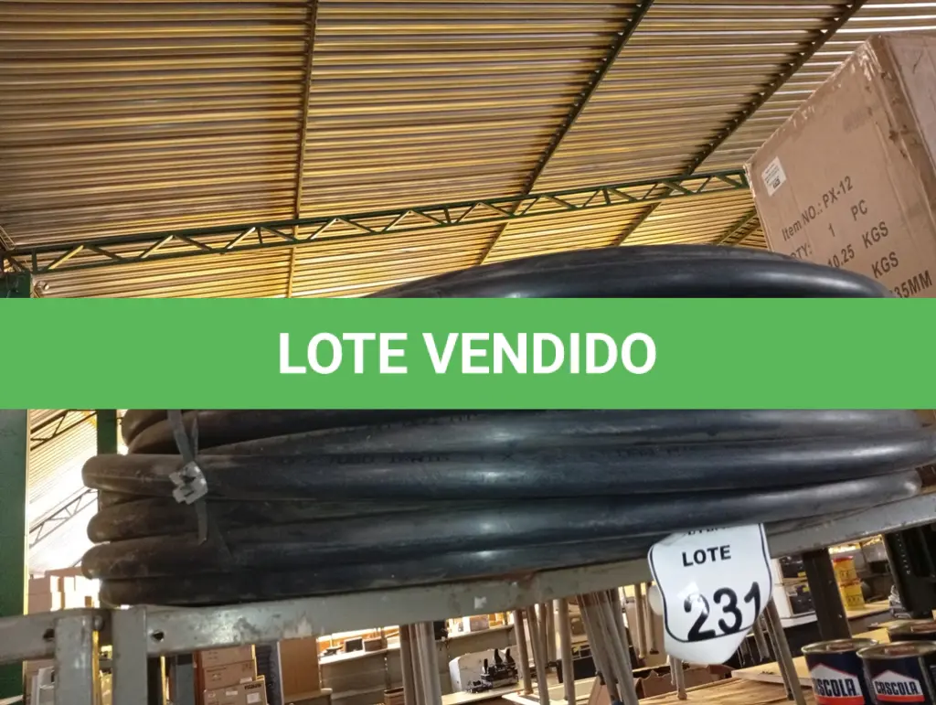 LOTE 231