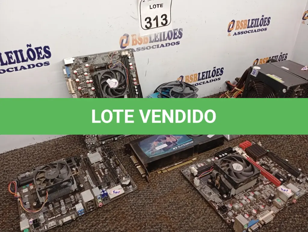 LOTE 313