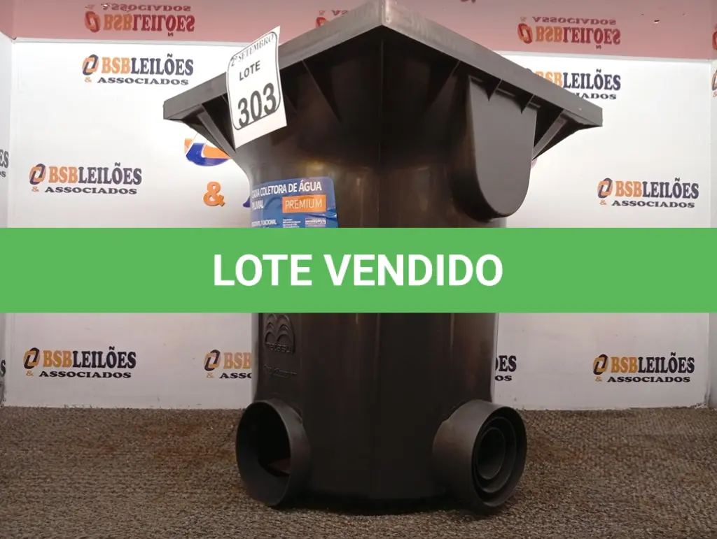 LOTE 303