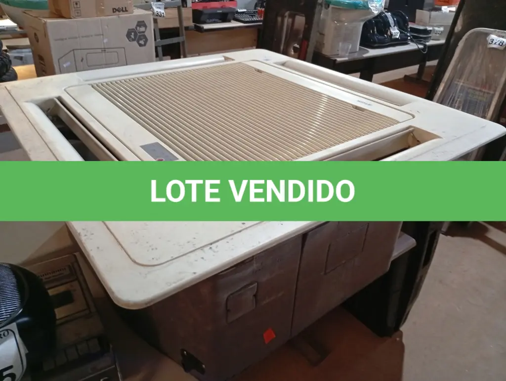 LOTE 376