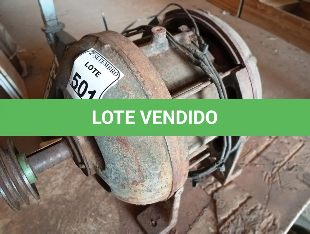 LOTE 501