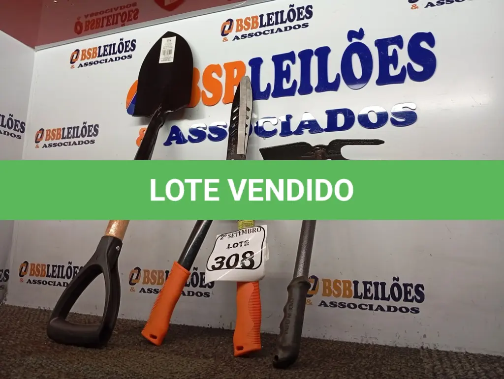 LOTE 308