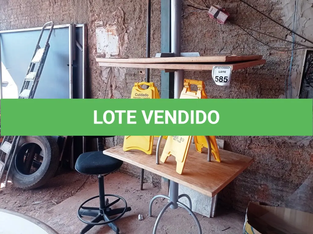 LOTE 585