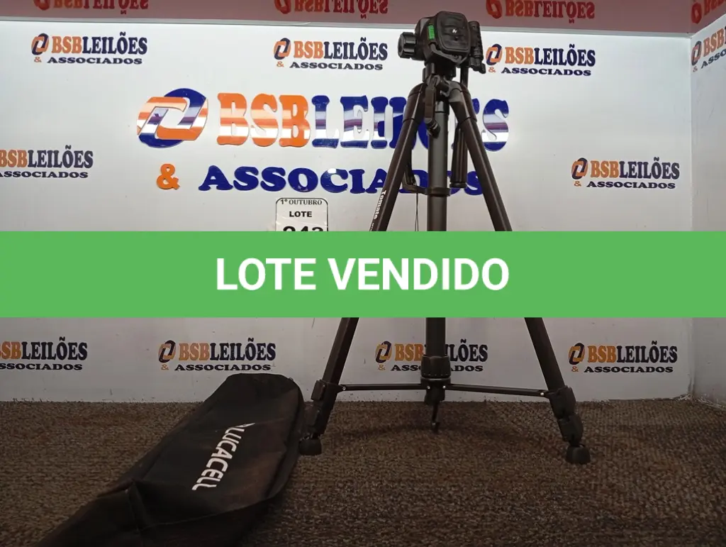 LOTE 243