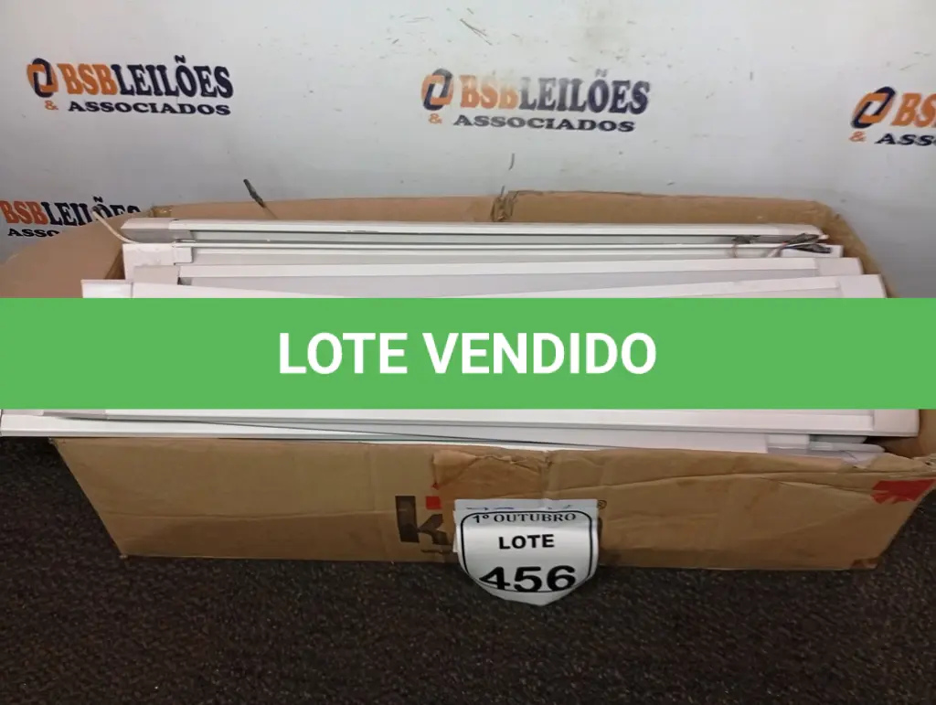 LOTE 456