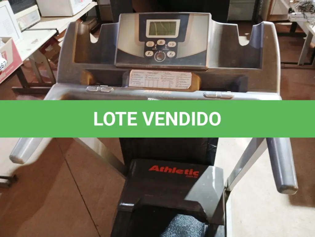 LOTE 384