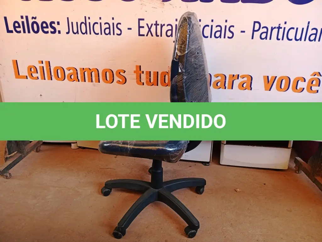 LOTE 495