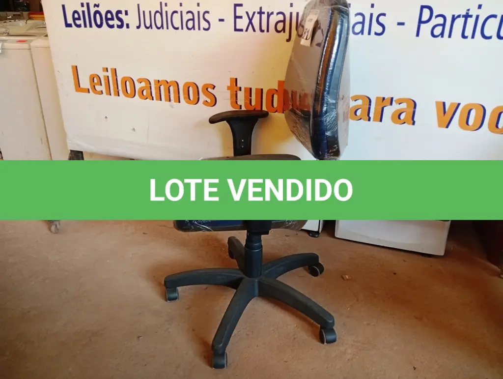 LOTE 481
