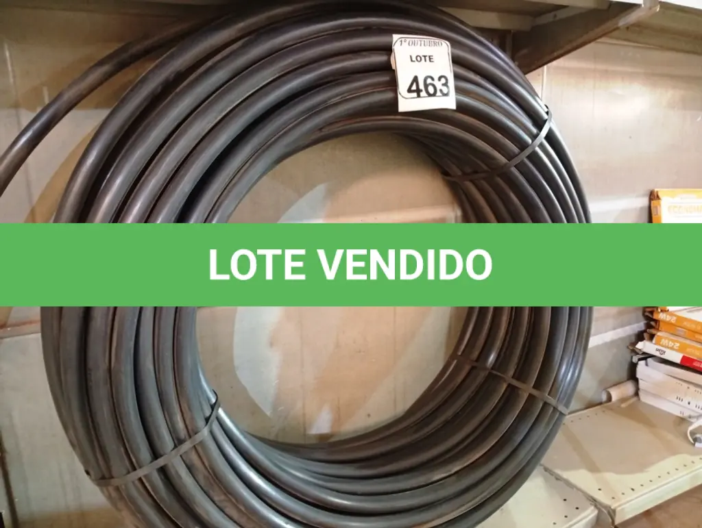 LOTE 463