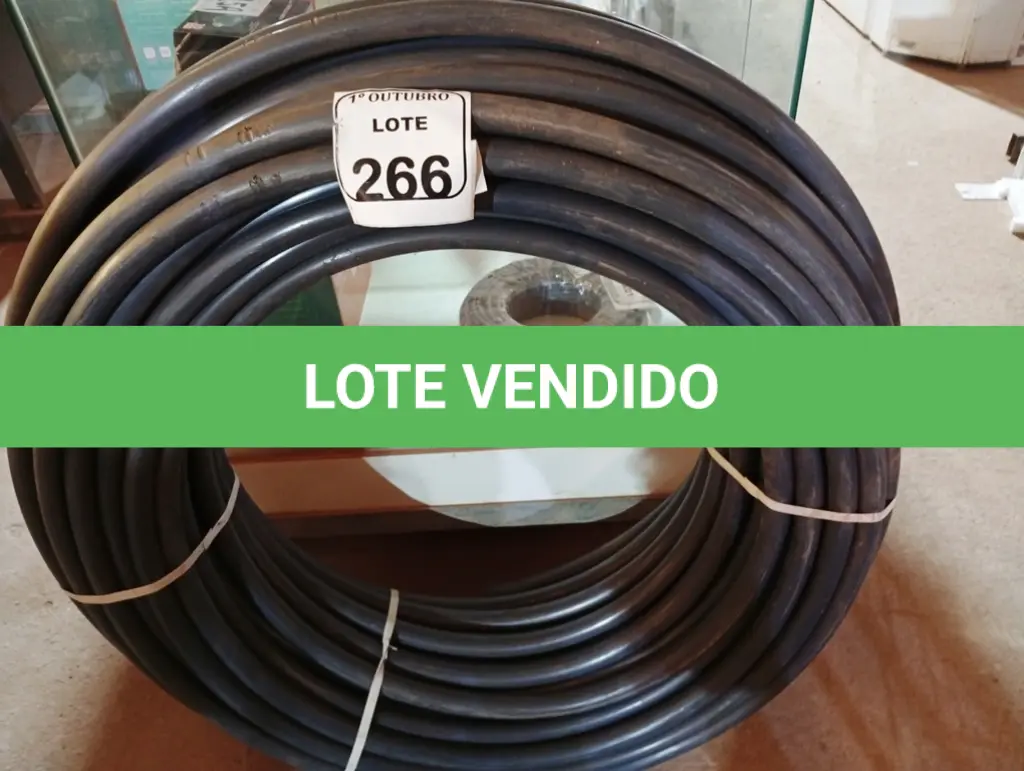 LOTE 266