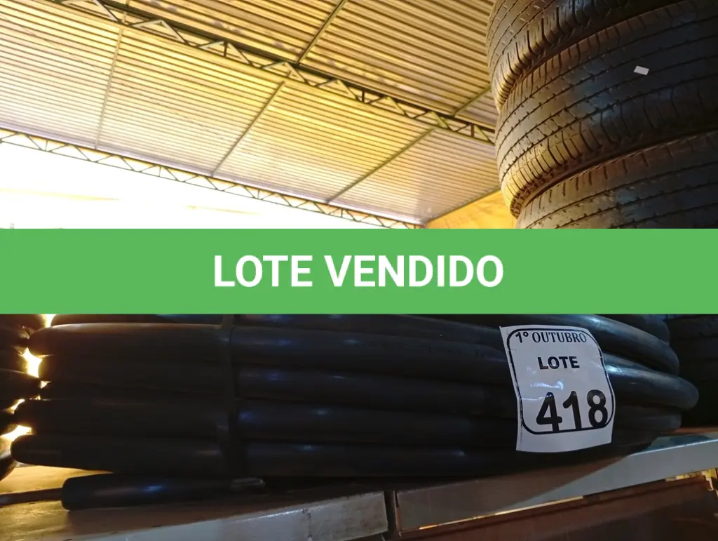 LOTE 418