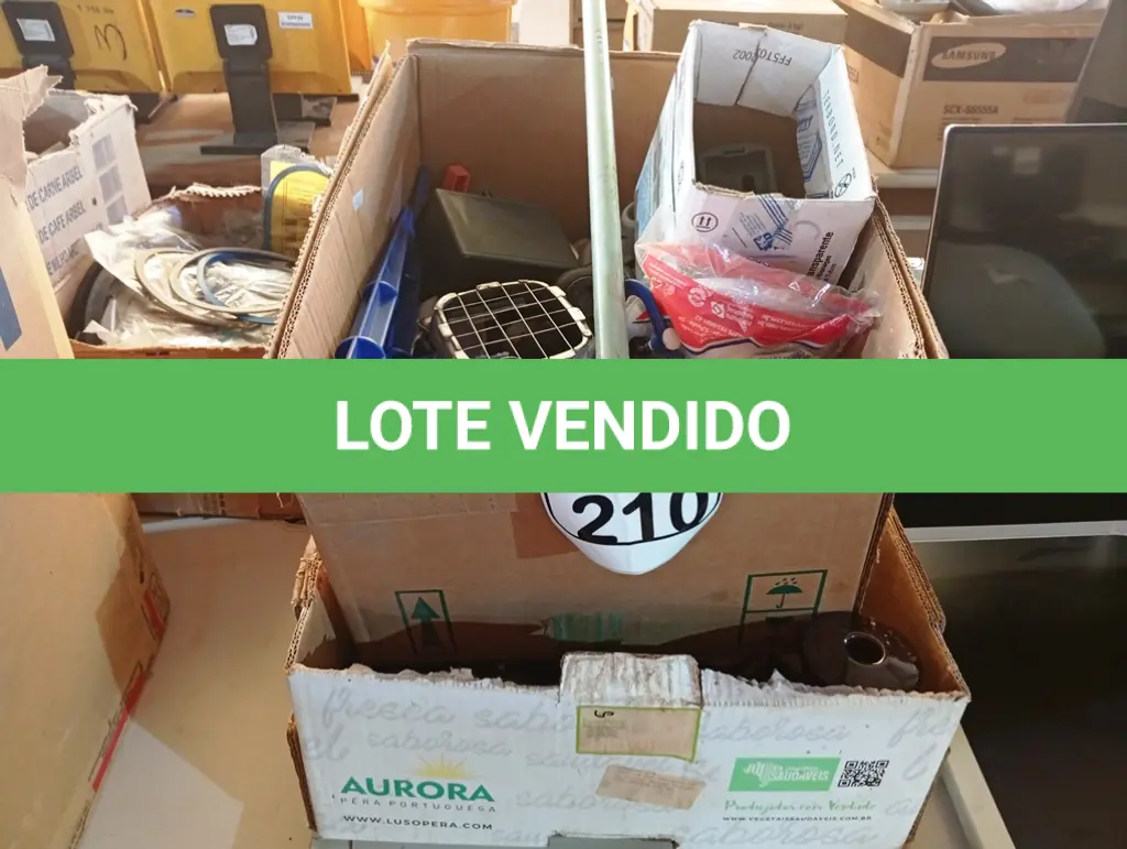 LOTE 210