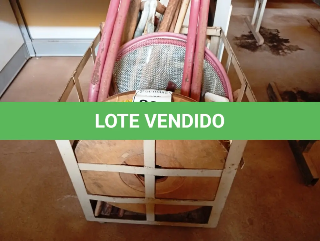 LOTE 237