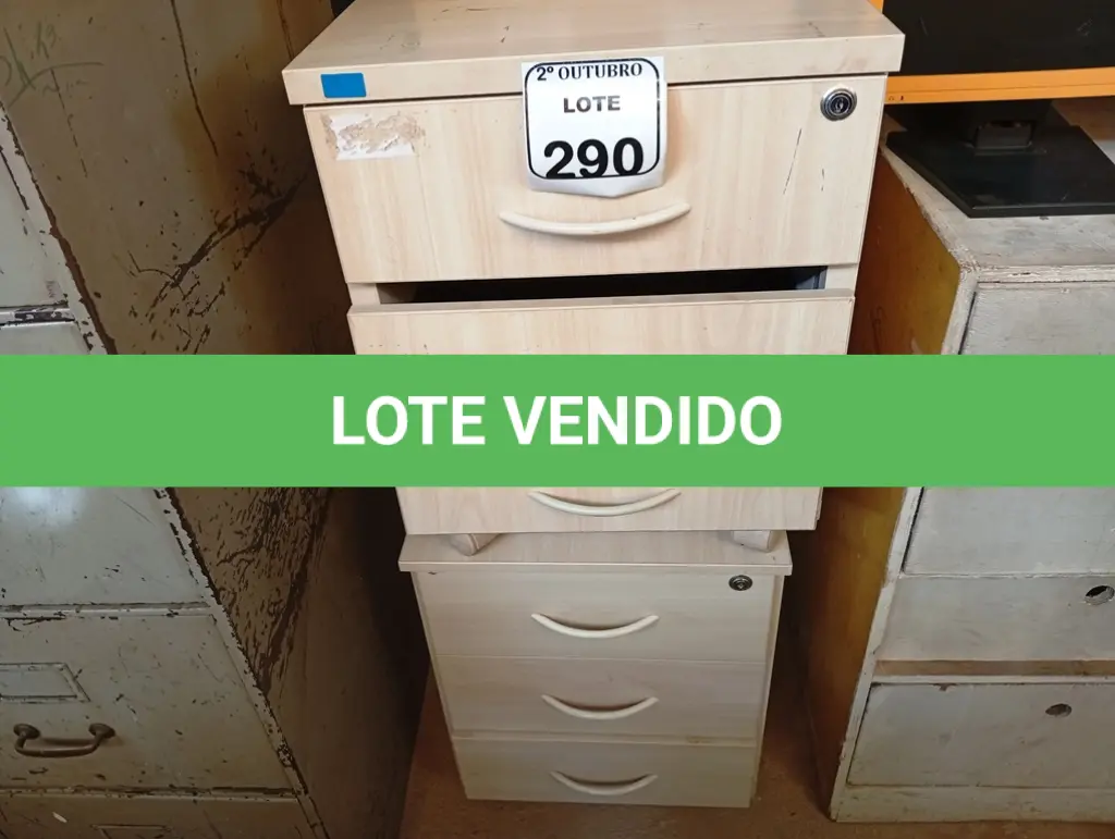 LOTE 290