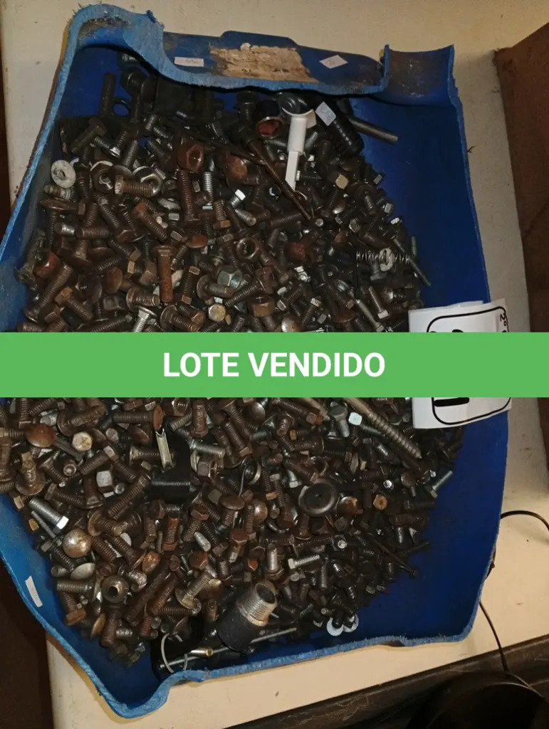 LOTE 241