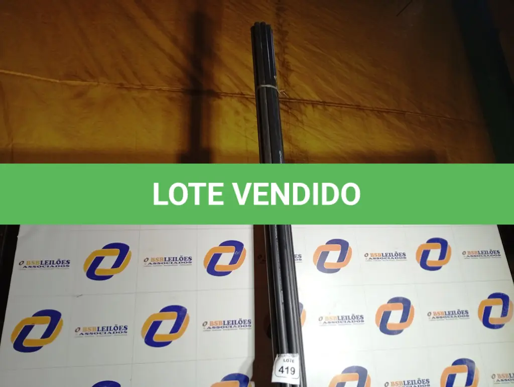 LOTE 419