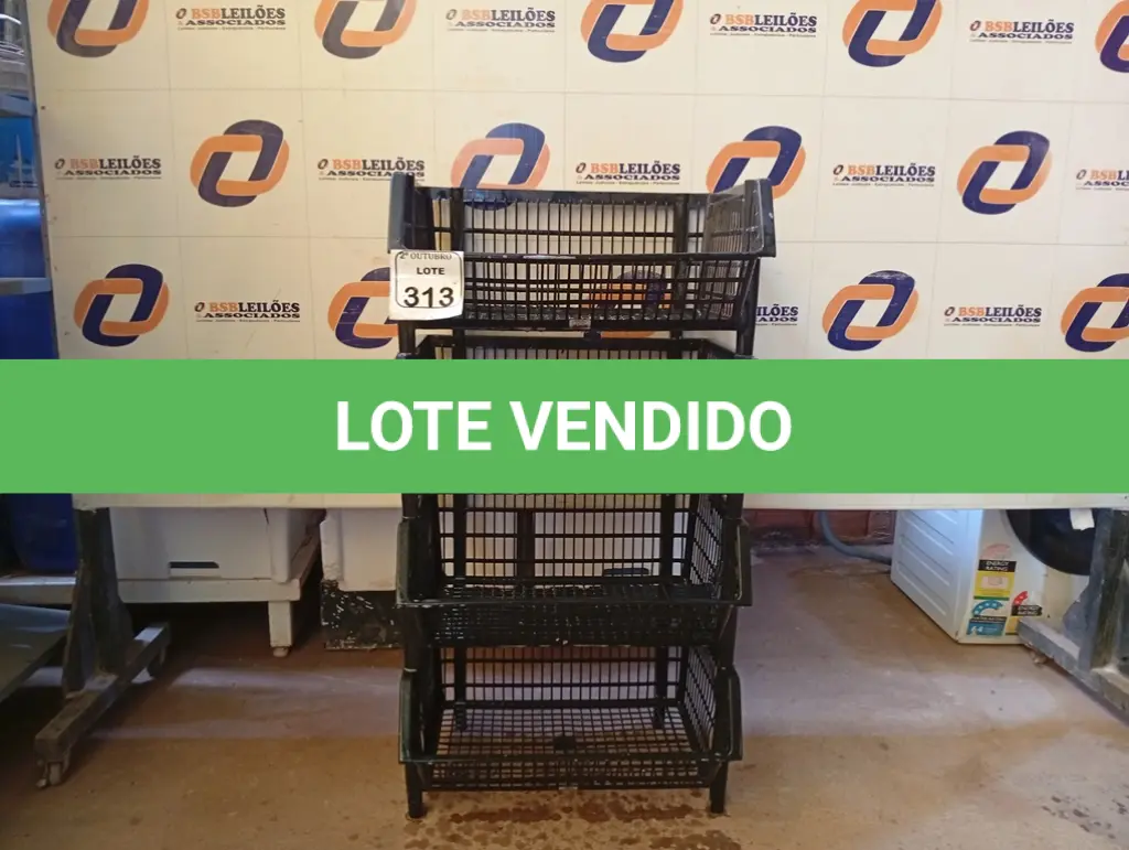 LOTE 313