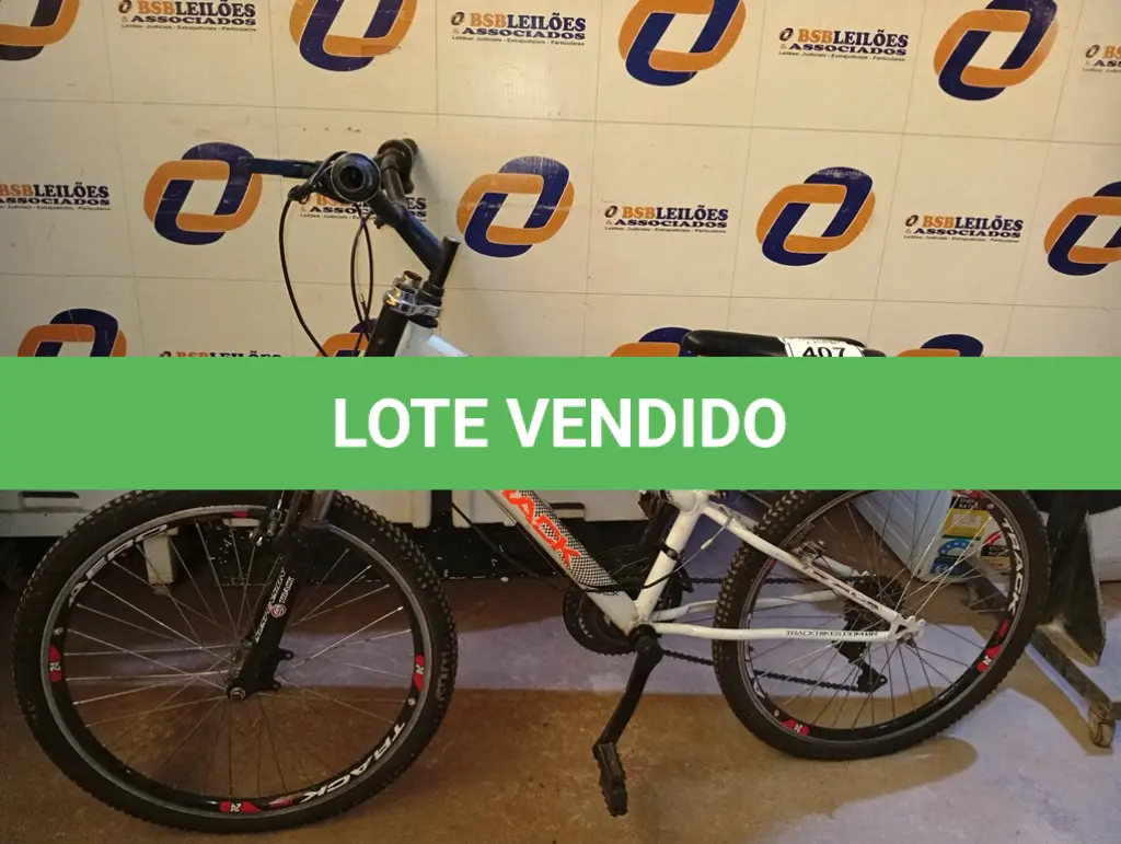 LOTE 407