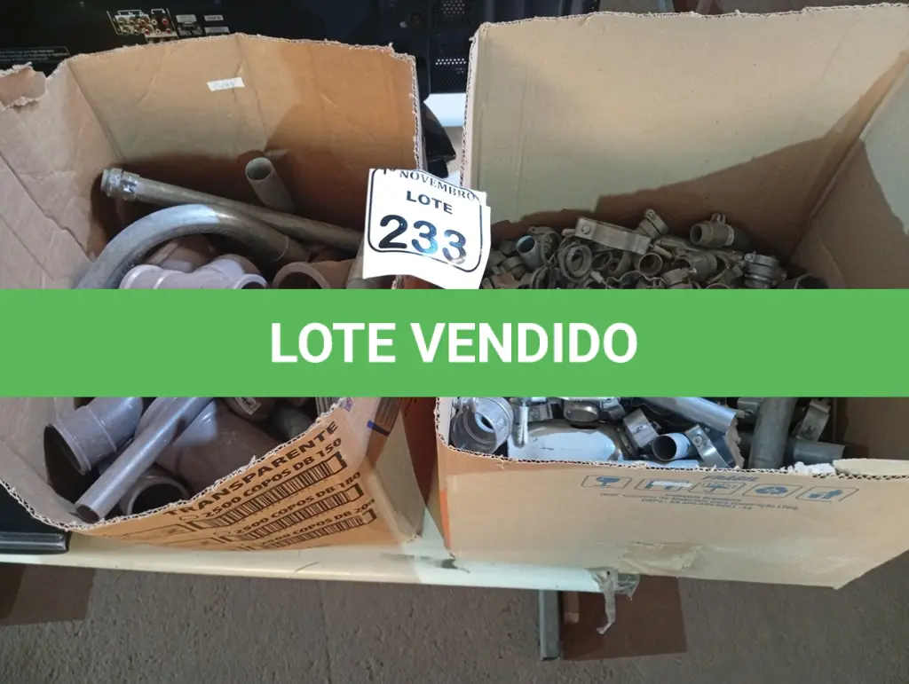 LOTE 233