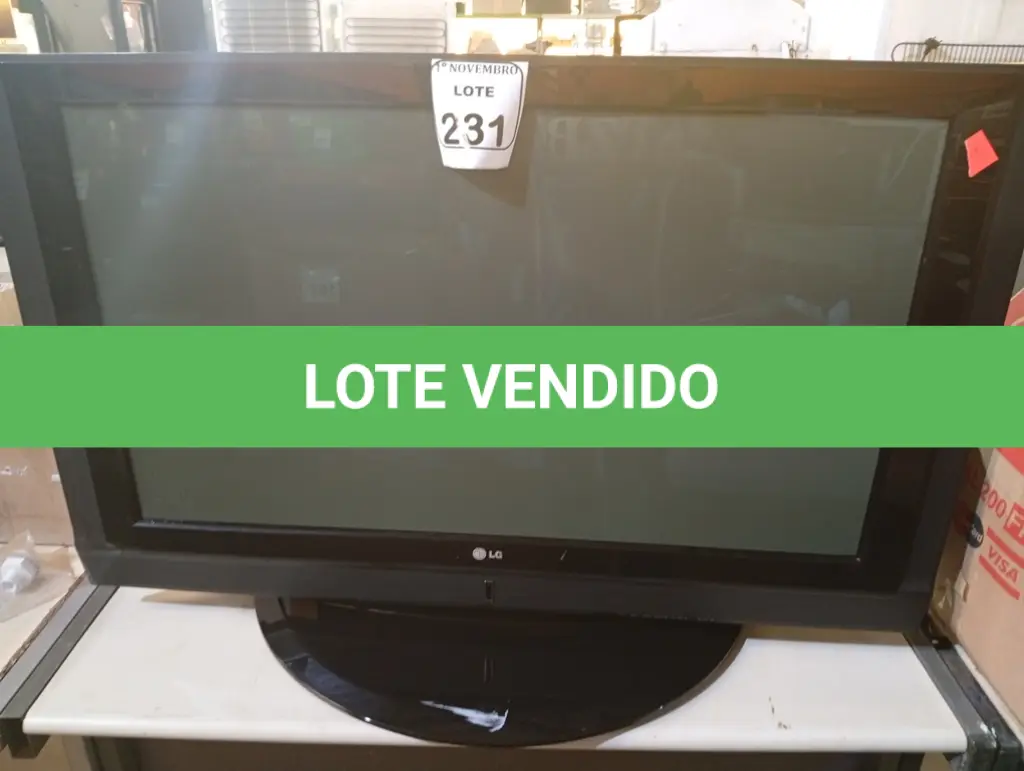 LOTE 231