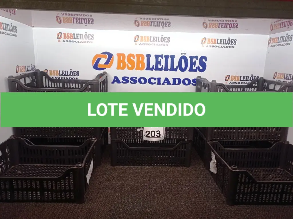 LOTE 203