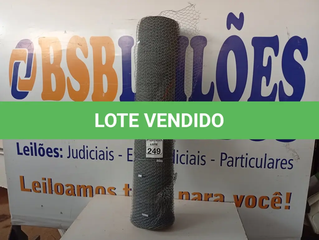 LOTE 249