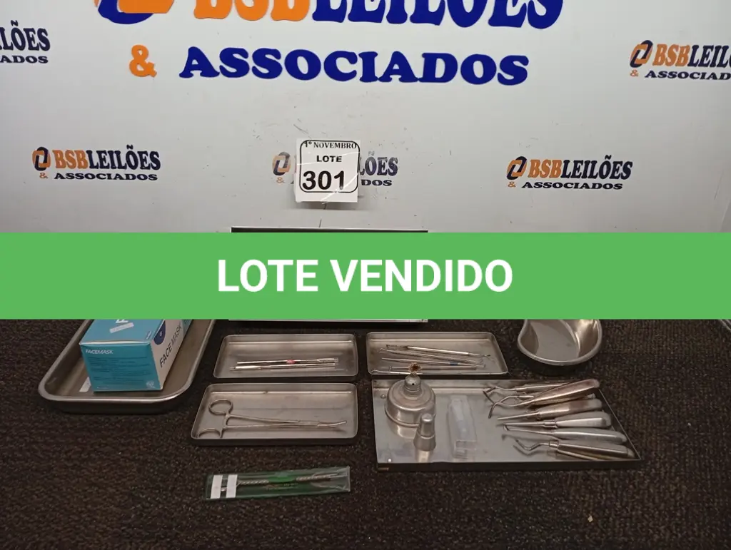 LOTE 301