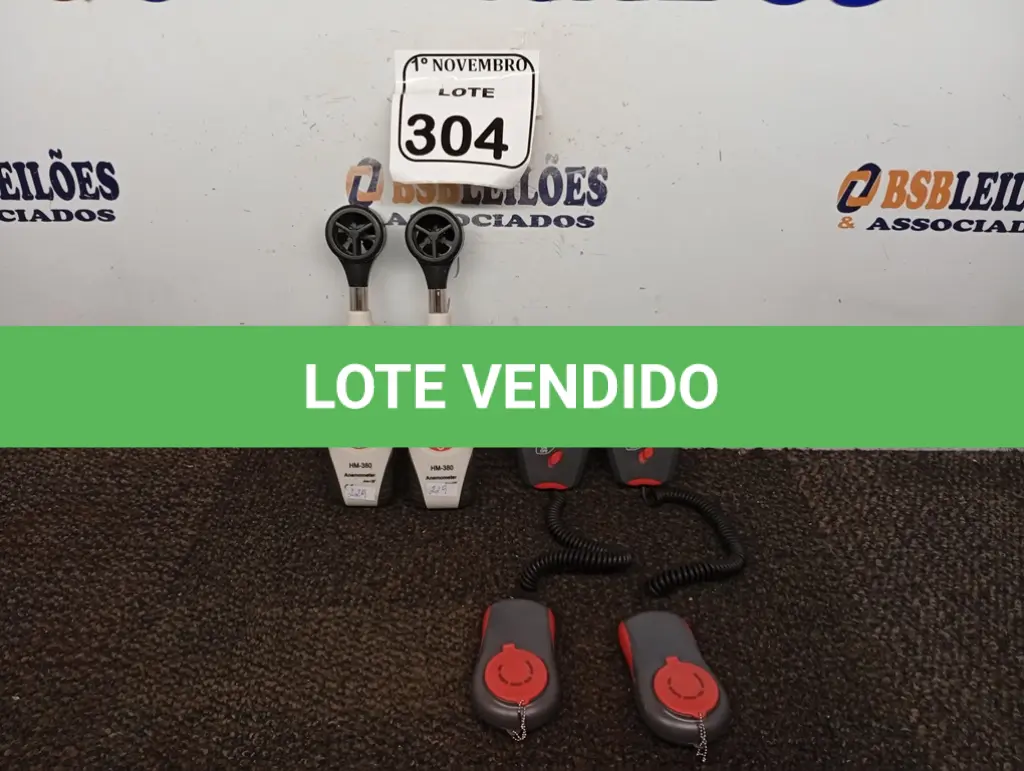 LOTE 304