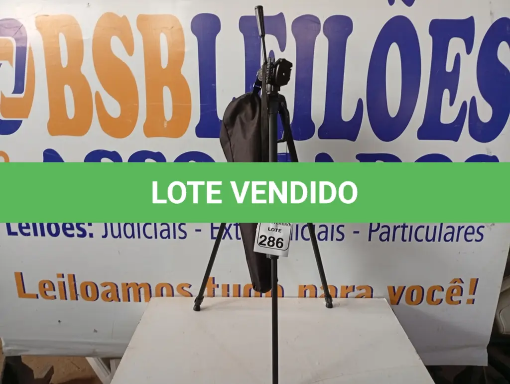 LOTE 286