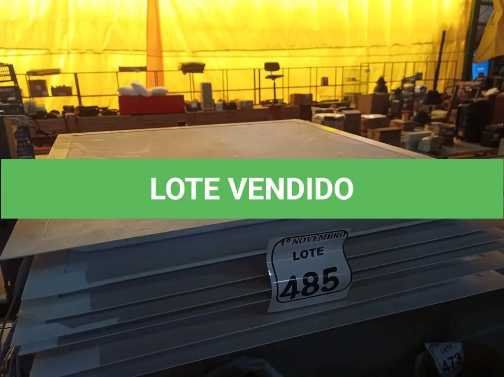 LOTE 485