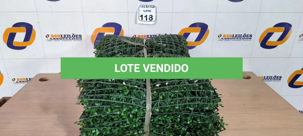 LOTE 118