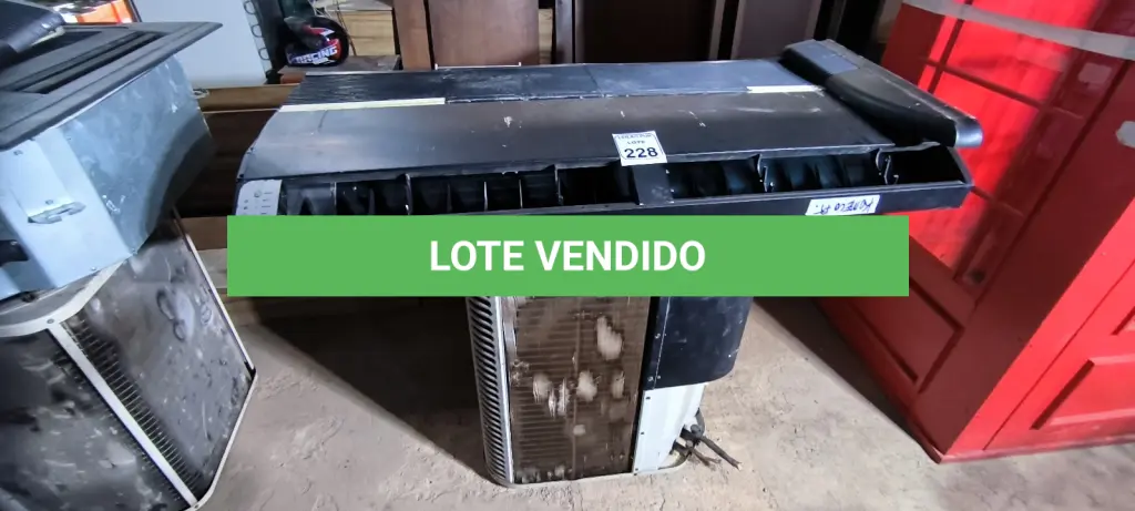 LOTE 228