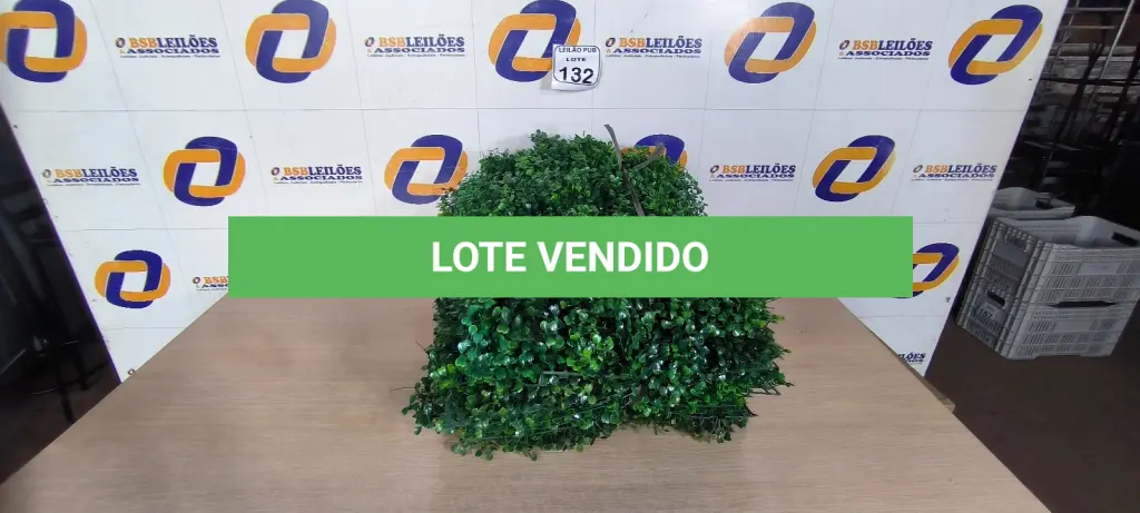 LOTE 132