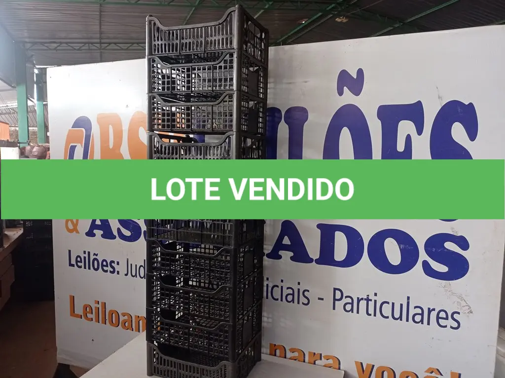 LOTE 011