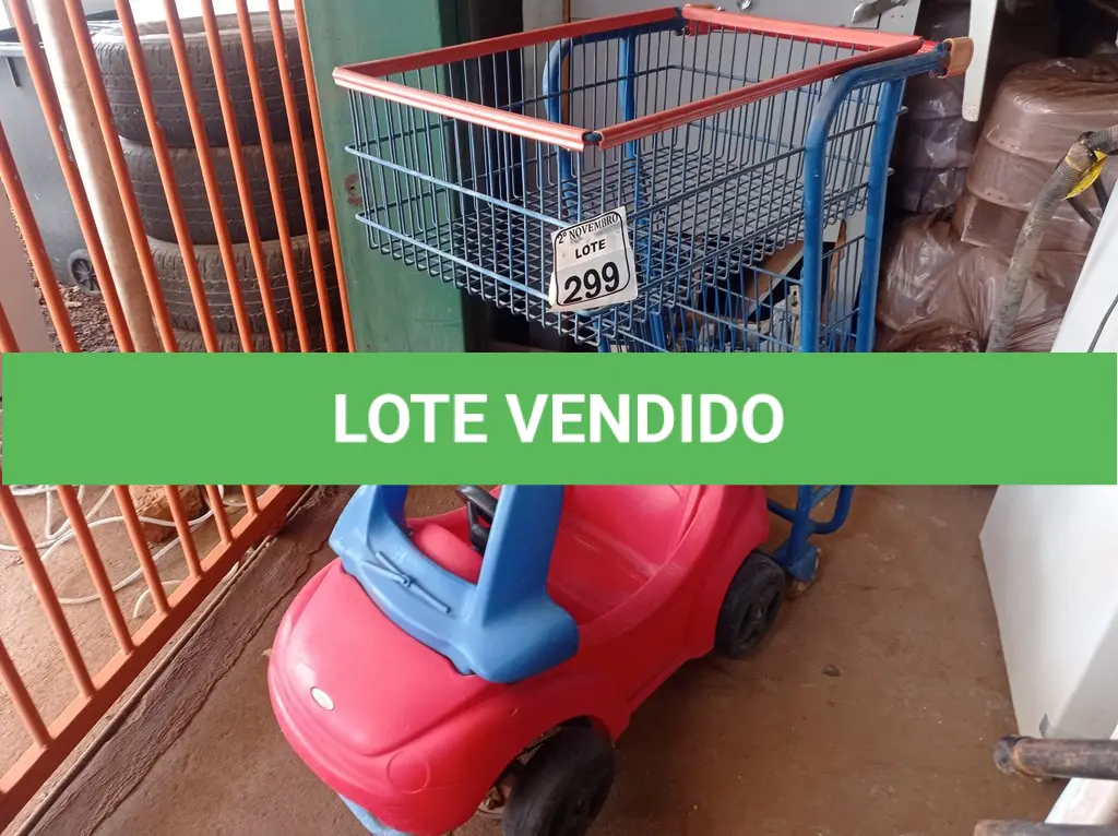 LOTE 299