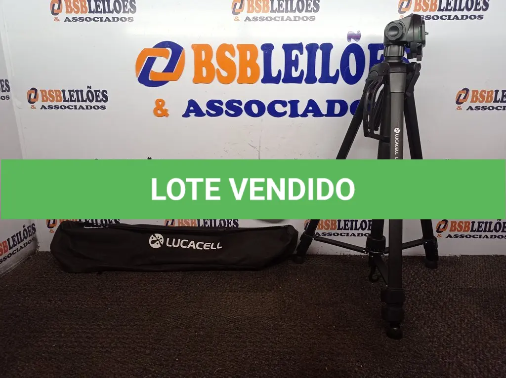 LOTE 275