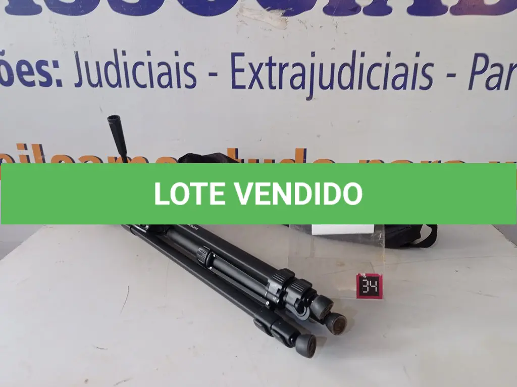 LOTE 319