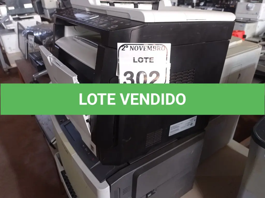 LOTE 302