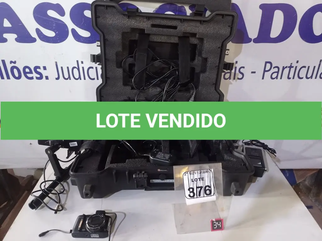 LOTE 376