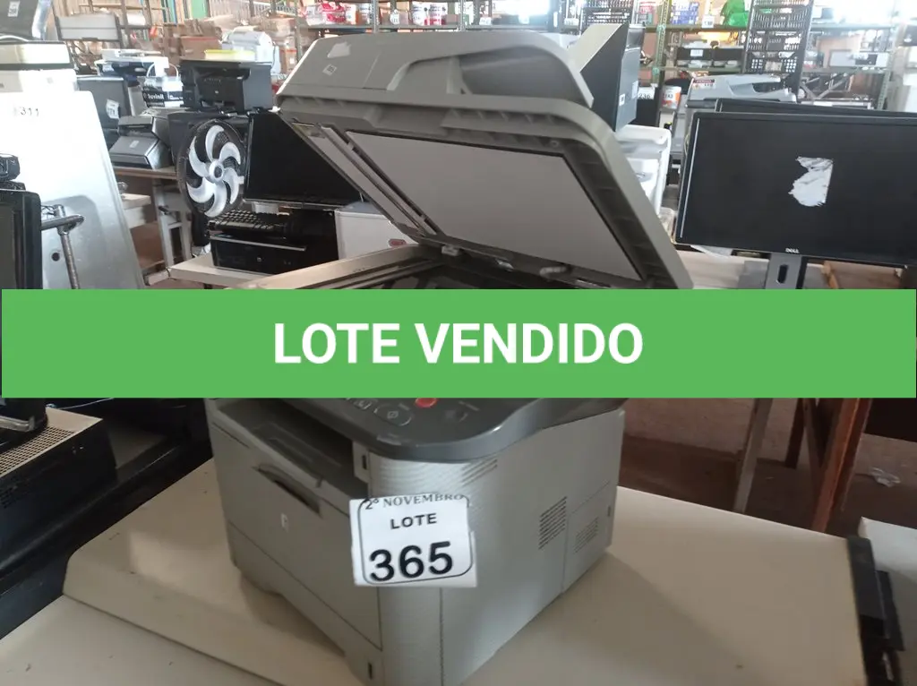 LOTE 365