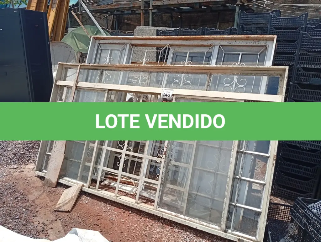 LOTE 446