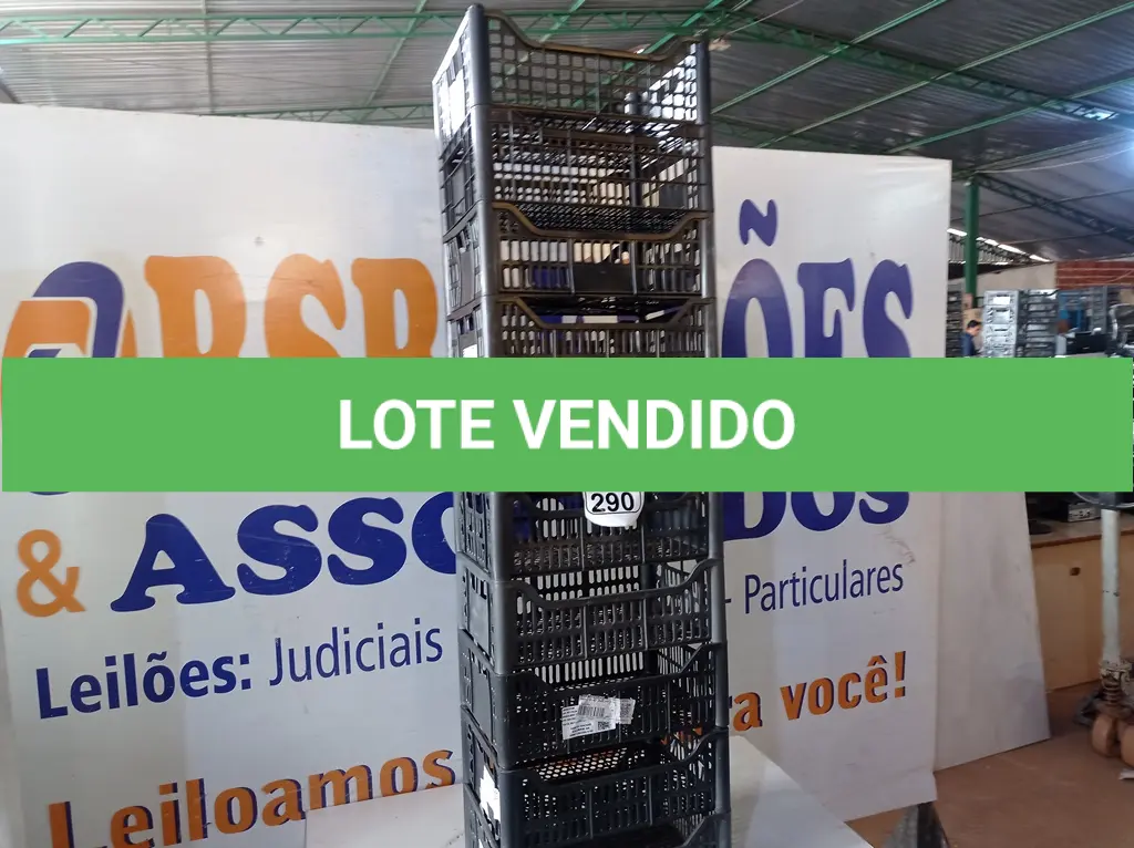 LOTE 290