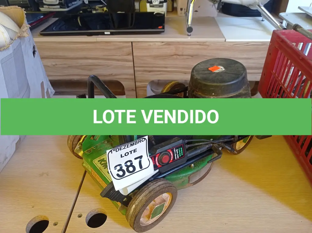 LOTE 387