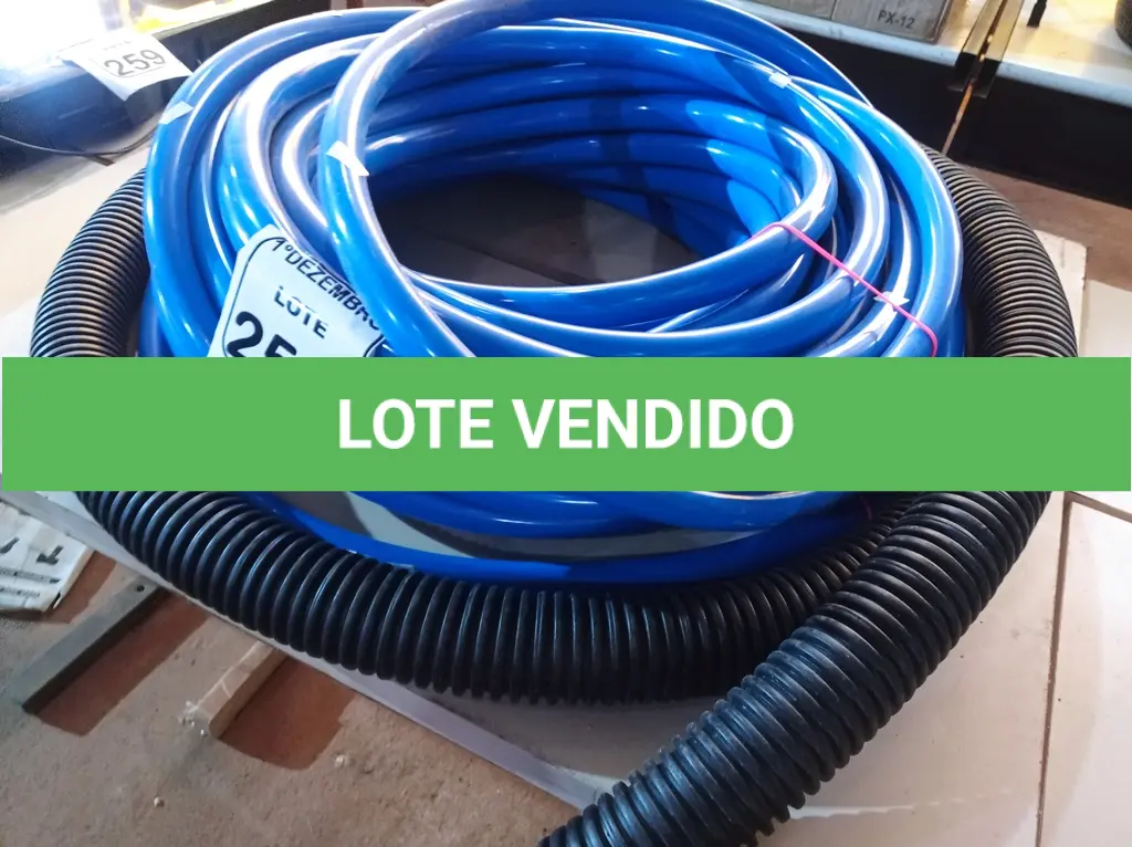 LOTE 256