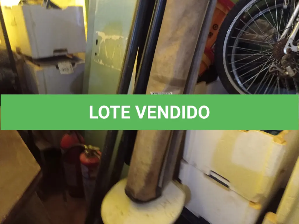LOTE 453