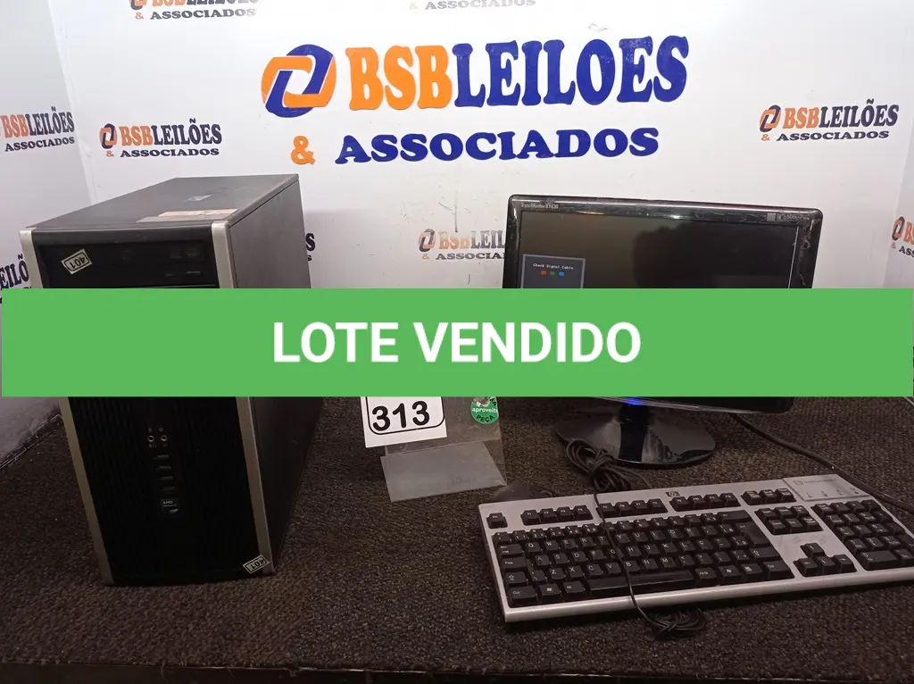 LOTE 313