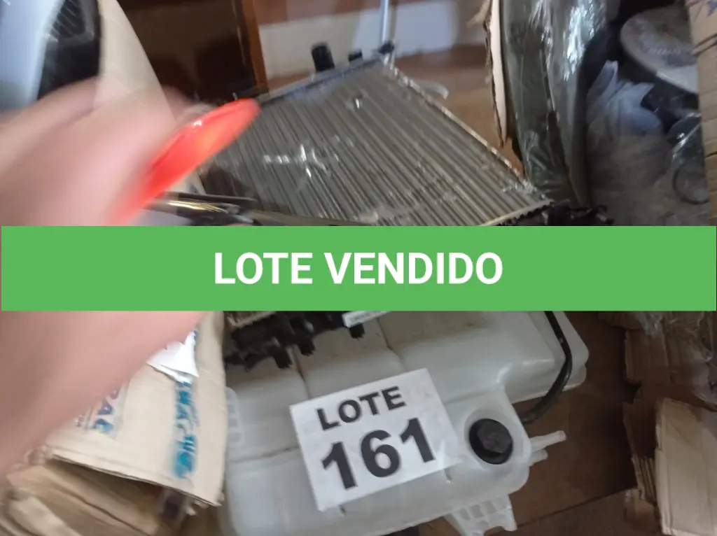 LOTE 161